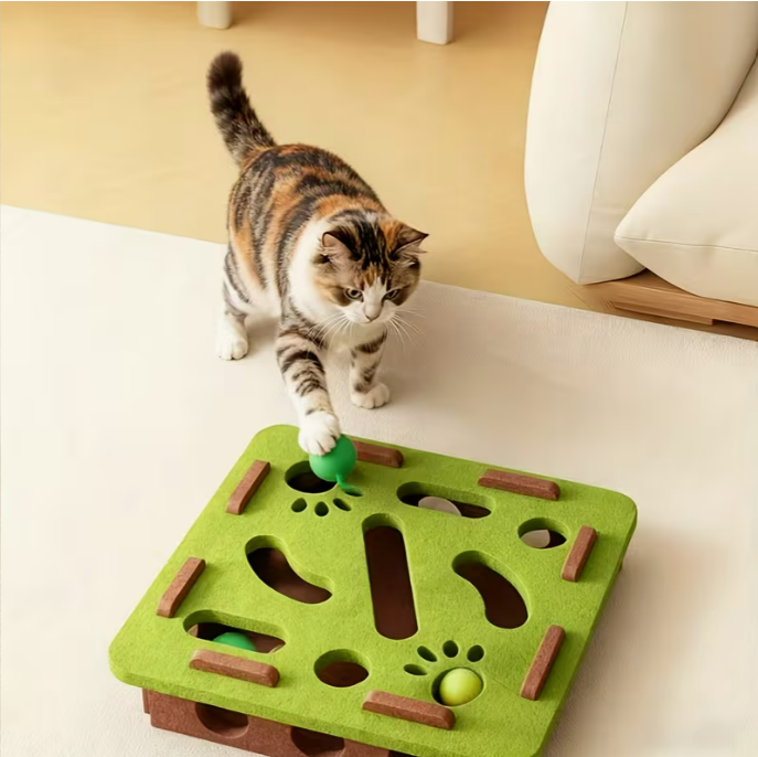 Cat Fun Box Set