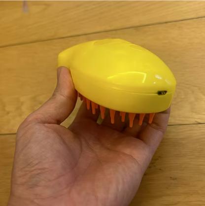 Electric Spray Massage Brush