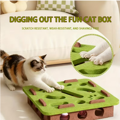 Cat Fun Box Set