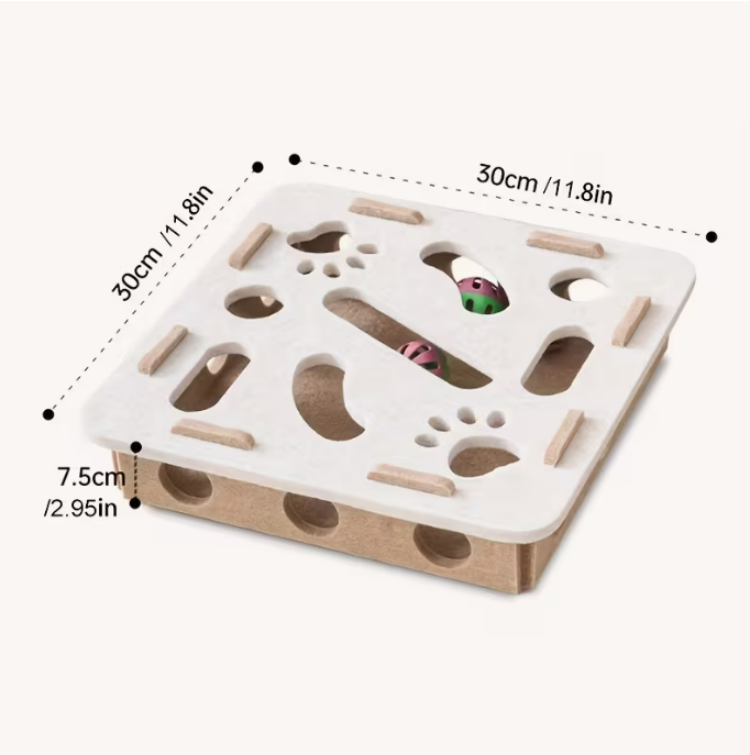 Cat Fun Box