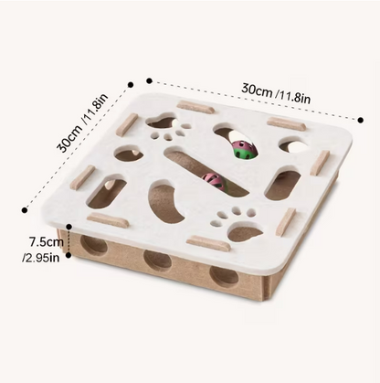 Cat Fun Box