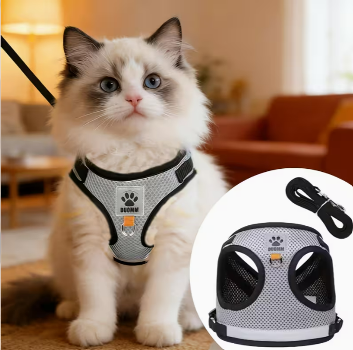 Cat/Dog Leash Set