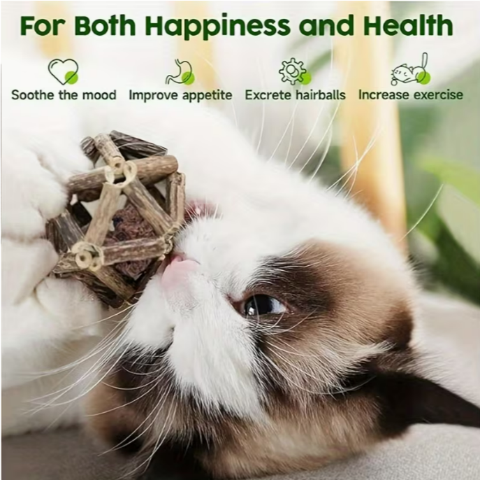 Dental Health Interactive Cat Toy