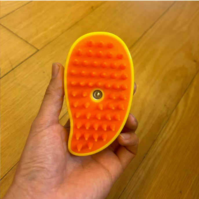 Electric Spray Massage Brush