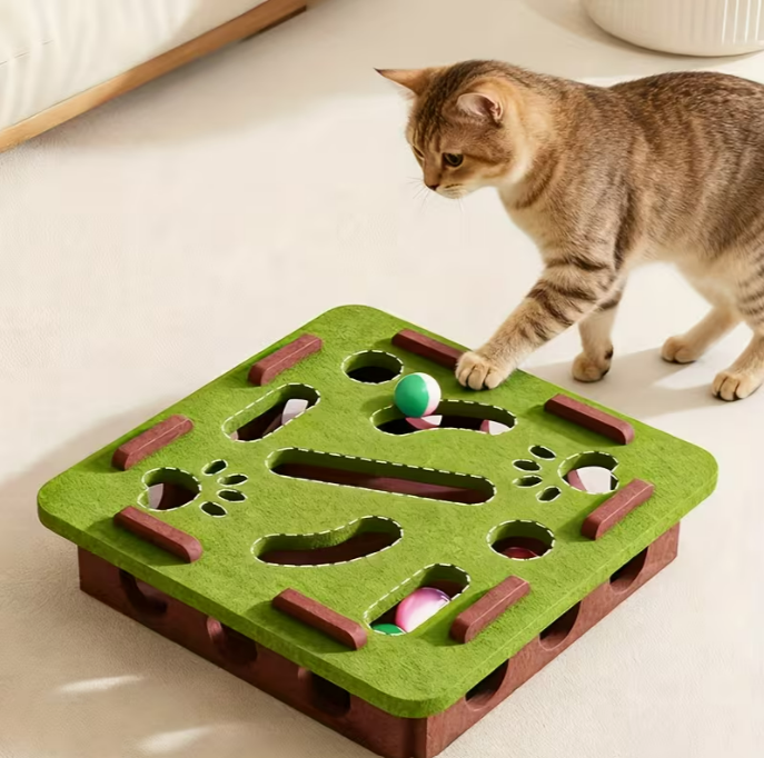Cat Fun Box Set