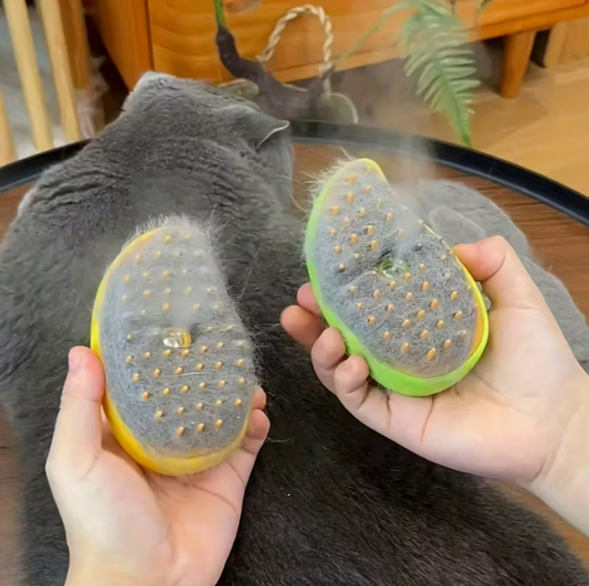 Electric Spray Massage Brush