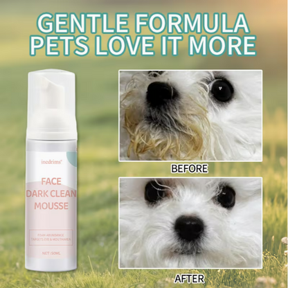 Pet Dry Shampoo Foam
