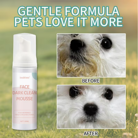 Pet Dry Shampoo Foam