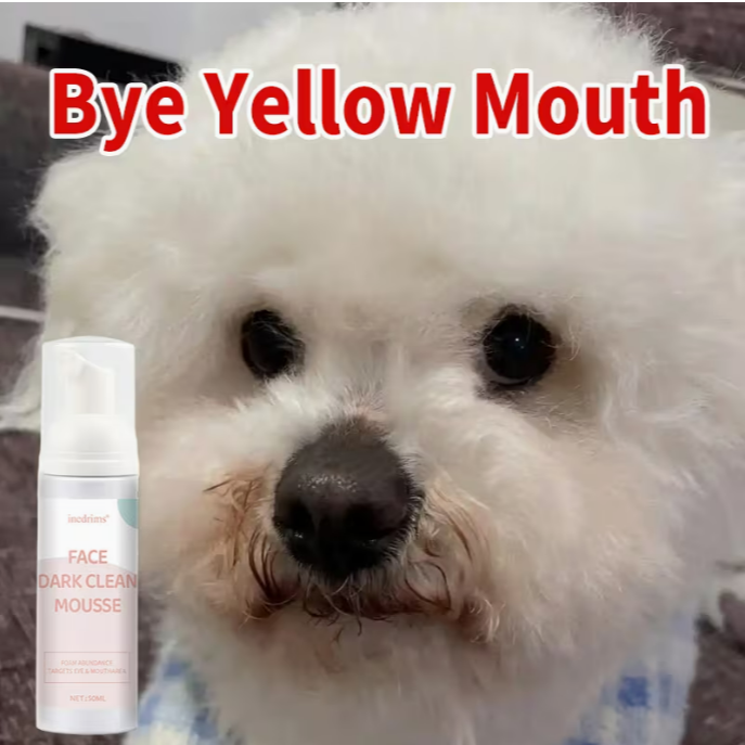 Pet Dry Shampoo Foam