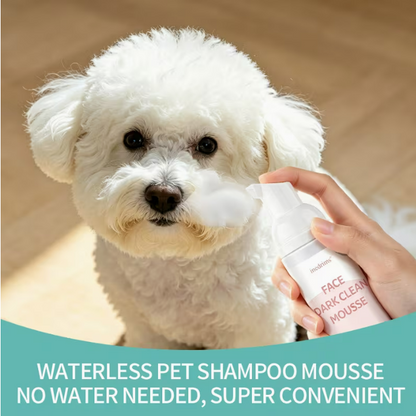 Pet Dry Shampoo Foam