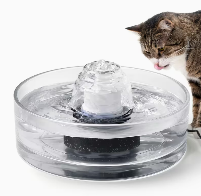 Transparent Glass Cat Water Fountain