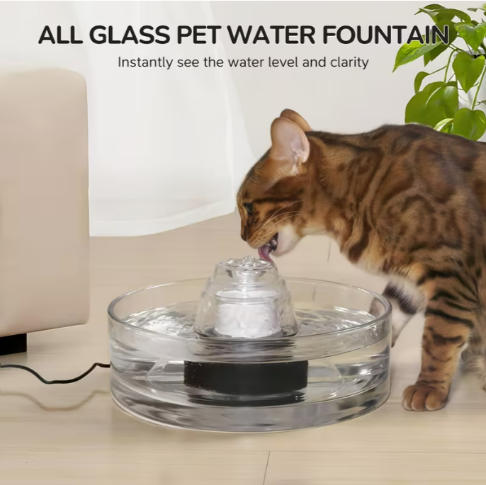 Transparent Glass Cat Water Fountain