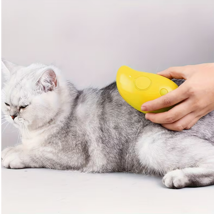 Self Cleaning Steam Brush